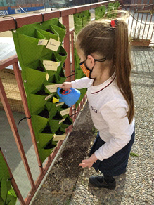 Implementation of Laudato Si’ Goals in the Province of Spain